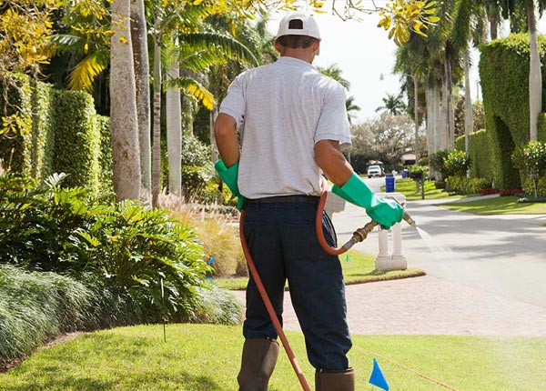 About Busy KY Pest Control